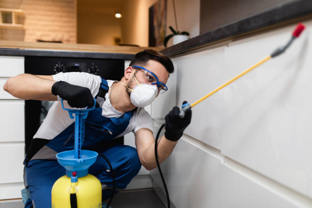 Best Wasp Removal Services  in Palos Park, IL
