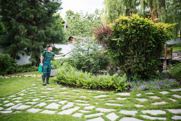 Best Affordable Pest Control Services  in Palos Park, IL