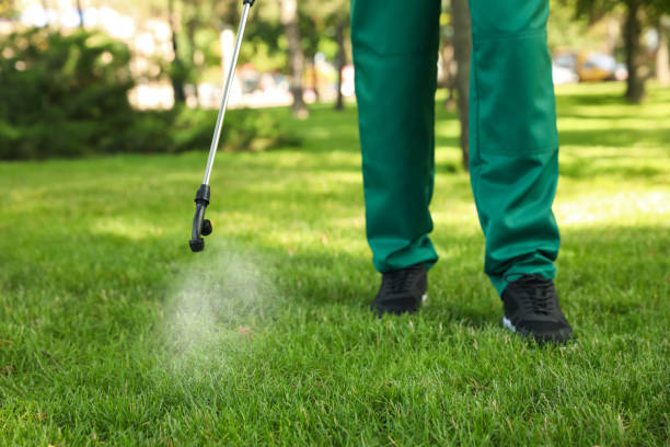 Best Emergency Pest Control  in Palos Park, IL